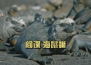 米兰体育app-蜥?鶚N%9G汭u?!簚?-米兰体育app